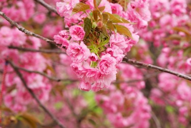 上海嘉定区8线下个人借款平台一站式服务，轻松解决资金难题