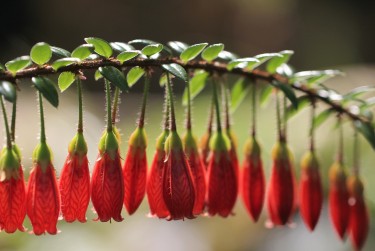 上海嘉定区8零用贷短借：轻松解决临时资金需求