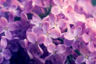 上海嘉定区8企业急用钱贷款攻略：快速融资解燃眉之急